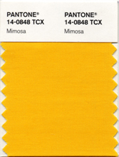 The official color of 2009.
